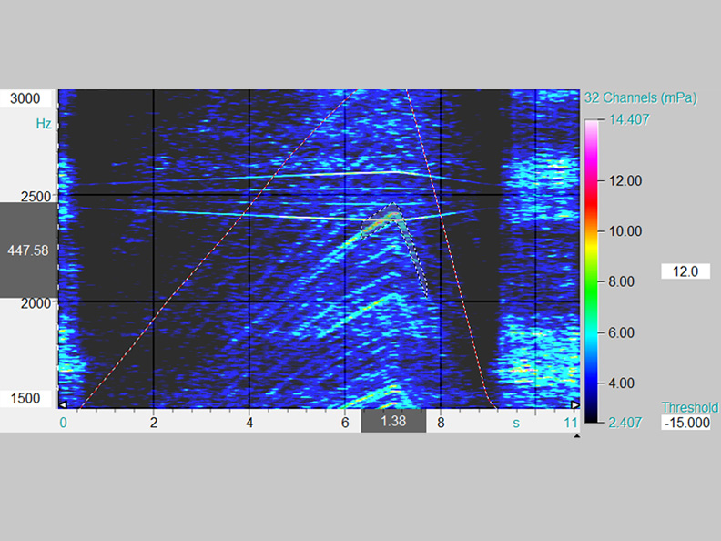Fig. 1.2: Spectrogram showing an order line selection