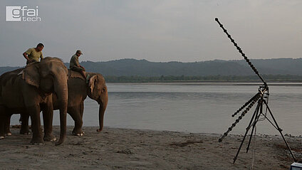 elephants next to the acoustic camera