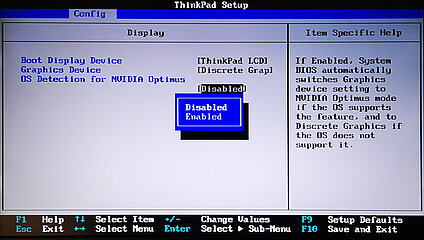 Abb. 3: NVIDIA Optimus "Disabled" NVIDIA Optimus "disbled"
