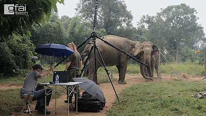 acoustic measurement of elephants