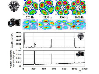Cross validation of mode shapes using nearfield acoustic holography
