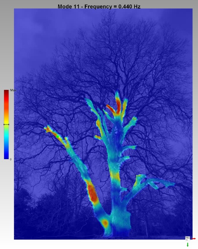 Operational deflection shape of the whole tree (0.44 Hz)