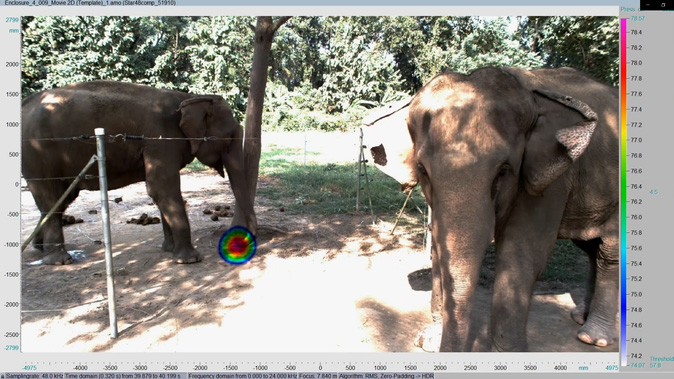 Abbildung 2: Akustisches Video in NoiseImage von Elefanten in Nepal